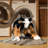 Washable Beauceron Dogs Area Rug-1107942800