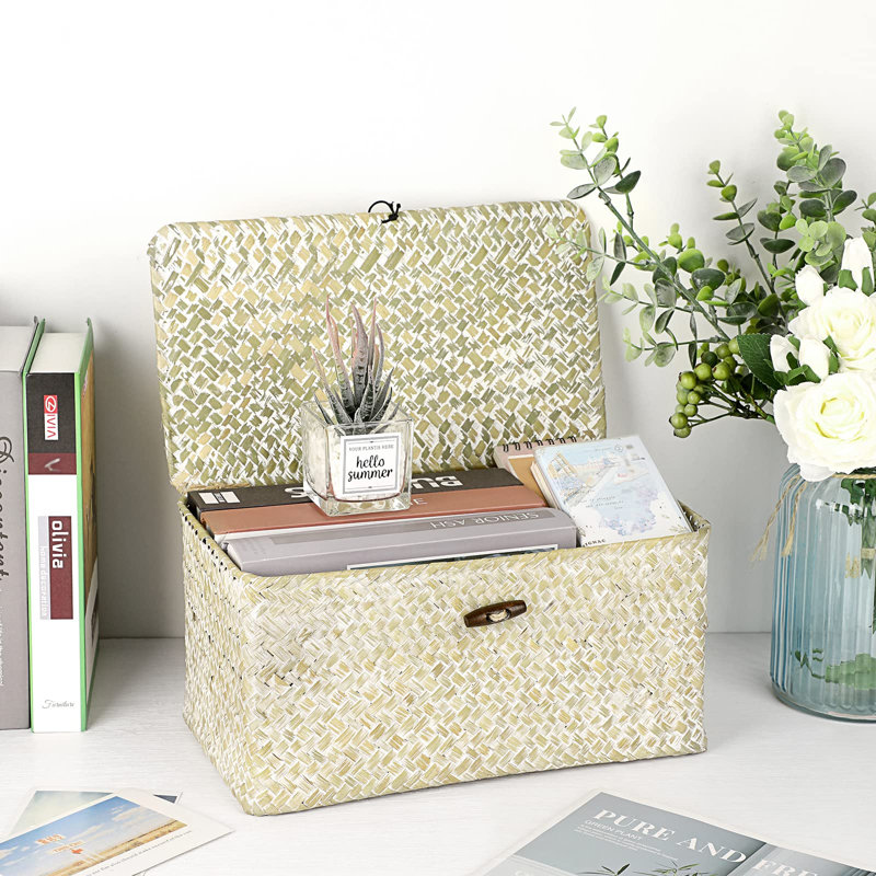 Bayou Breeze Aniel Seagrass Decorative Bin, Whitewash