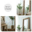 Miroir pleine grandeur rectangulaire en bois massif