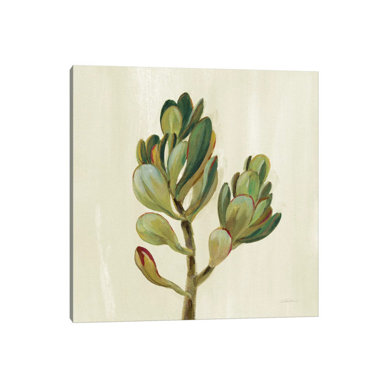 «Front Yard Succulent II» par Silvia Vassileva - reproduction d'art, H 48 po x l 48 po x 1,5 po, Toile tendue, Pas de tapis