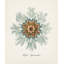 Nautical Art V Print by Sofia Fox-26933186-26933187