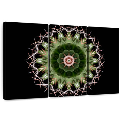 Harnek Mandala Cactus