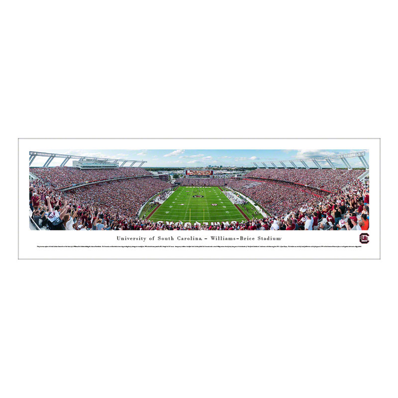 Impression panoramique de football South Carolina, H 13,5 po x l 40 po x P 0,38 po, Sans cadre