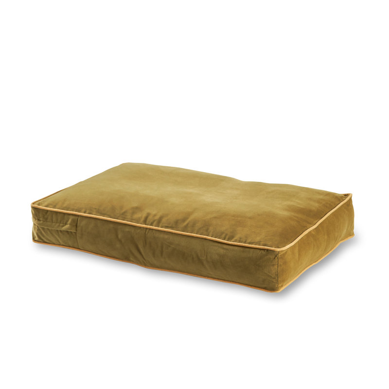 Lit pour chien Olivarez Classic, Petit (L 36 po x l 24 po x H 5 po), Moss