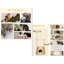 Jouet pour chat 47 "