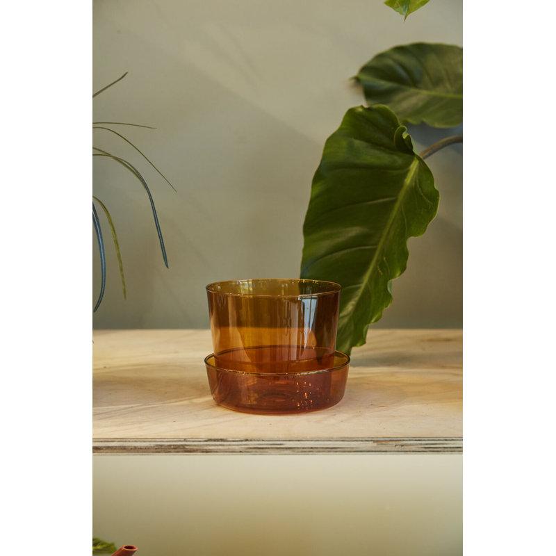Callio Glass Pot with Saucer, 5" H x 6.25" W x 6.25" D