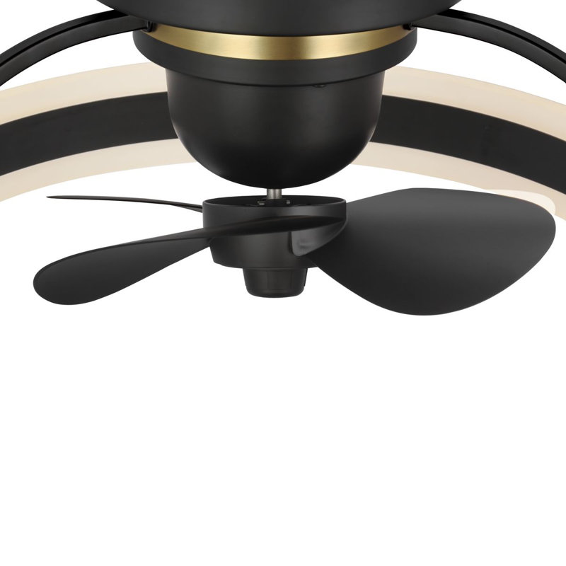 Burnett 20'' Ceiling Fan with LED Lights, Matte Black
