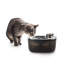 Fontaine pour chat L ruisseau 4 animaux Lifestyle - 4 L