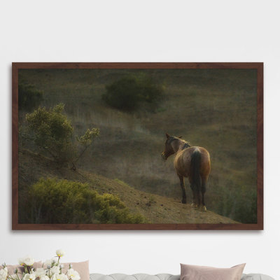 «Mustang at Dusk», reproduction encadrée