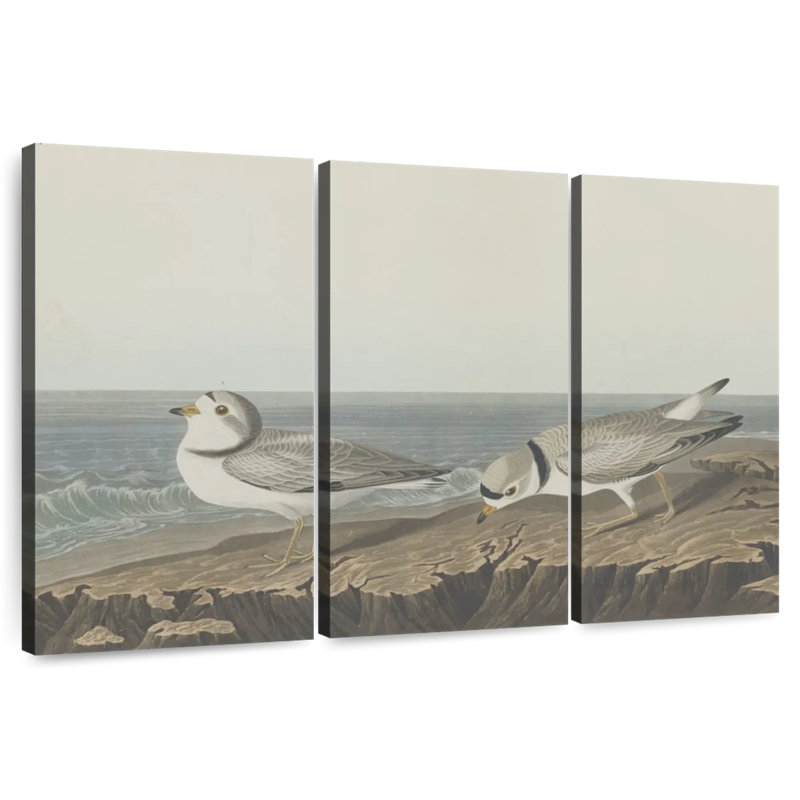 Brampt Piping Plover, 28" H x 45" W