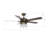 52'' Ceiling Fan with Light Kit-103122801