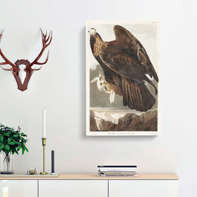 Golden Eagle by John James Audubon - Wrapped Canvas