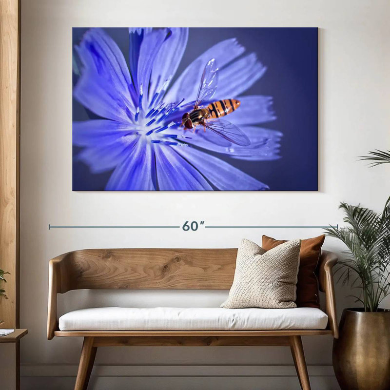 Bee On Chicory Flower, 34" H x 51" W