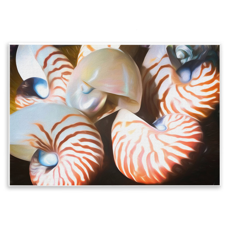 Nautilus Shells Cluster Wall Plaque Art by Graffi*tee Studios, 13" H x 19" W