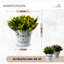 18cm Flowering Plant-102835264