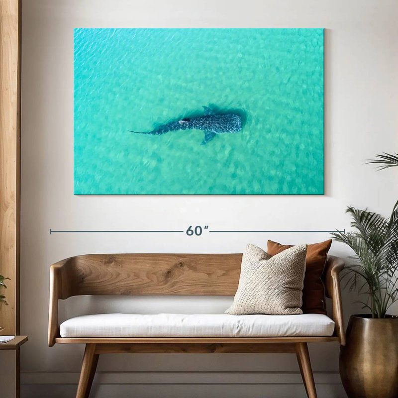 Crowle La Paz Whale Shark