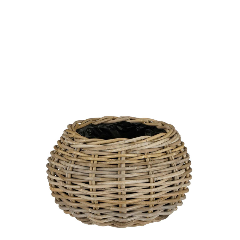 Aliyya Ceramic Pot Planter