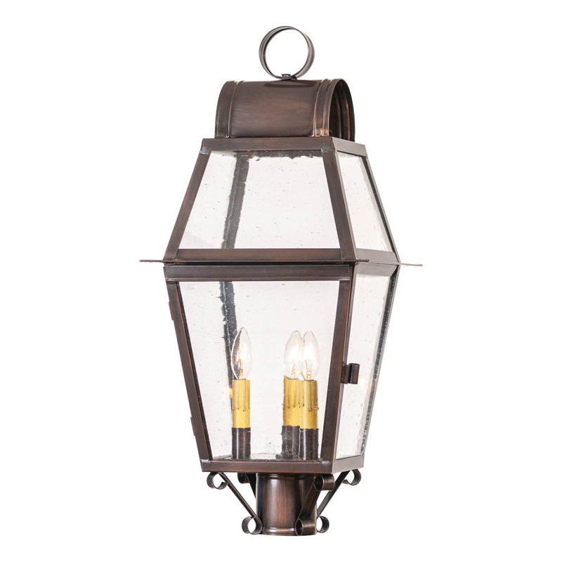 Transparent Lantern Head, Cooper