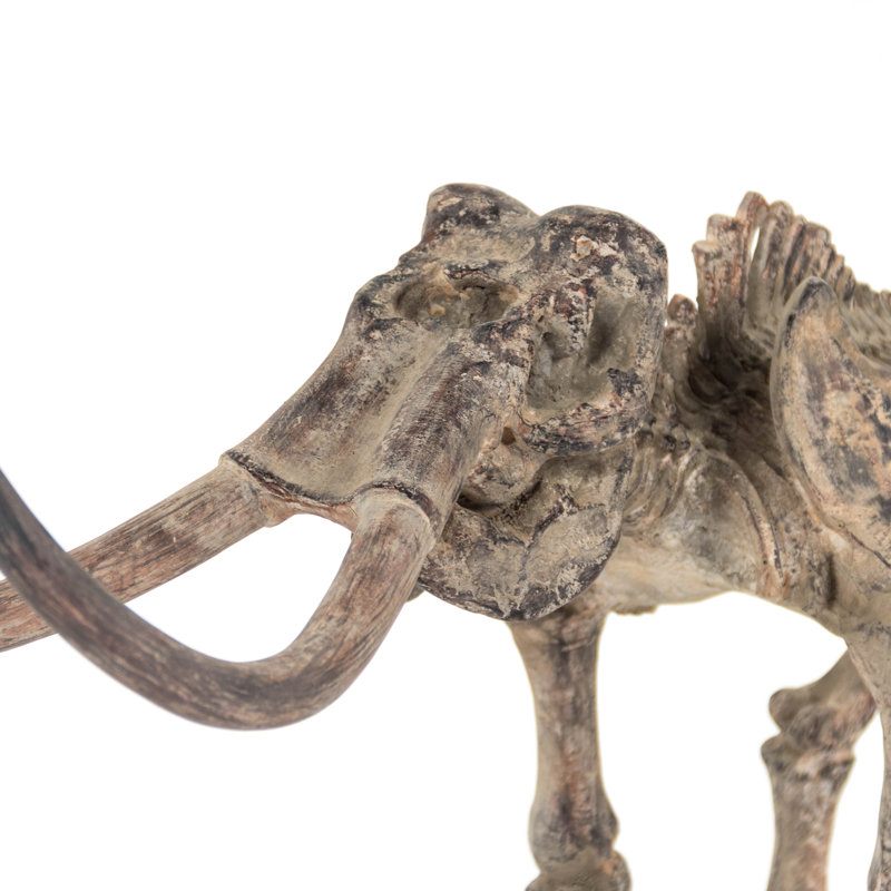 Décoration murale squelette mammoth