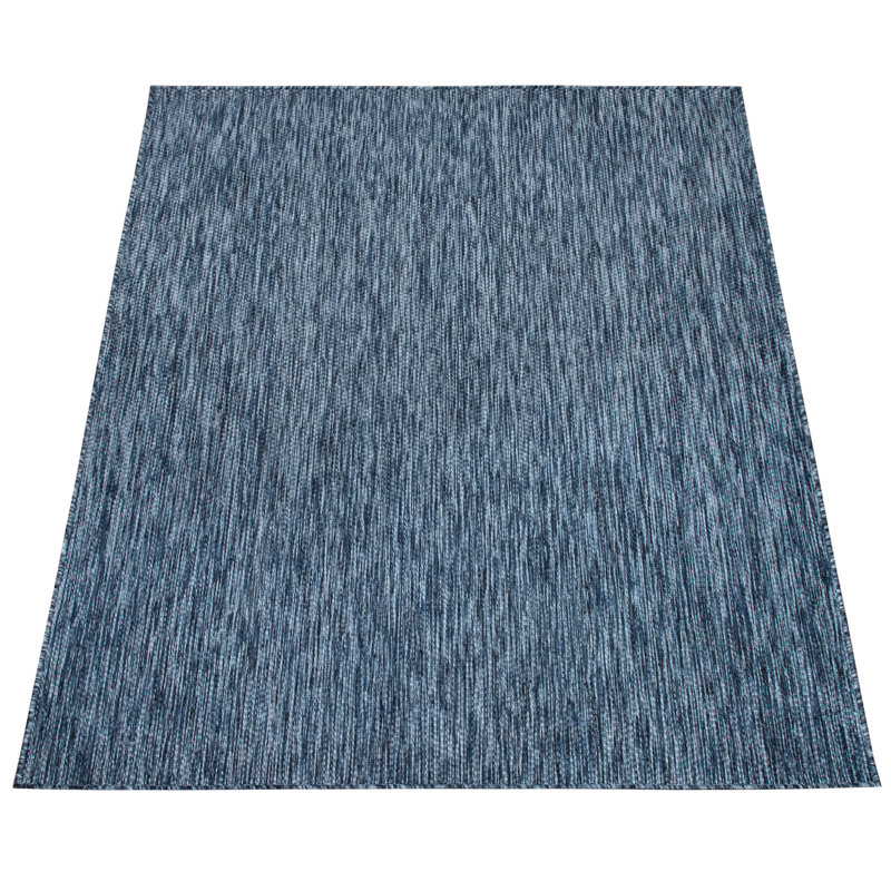 Iyana Machine Woven Indoor/Outdoor Area Rug, Rectangle 3'11" x 5'3", Blue