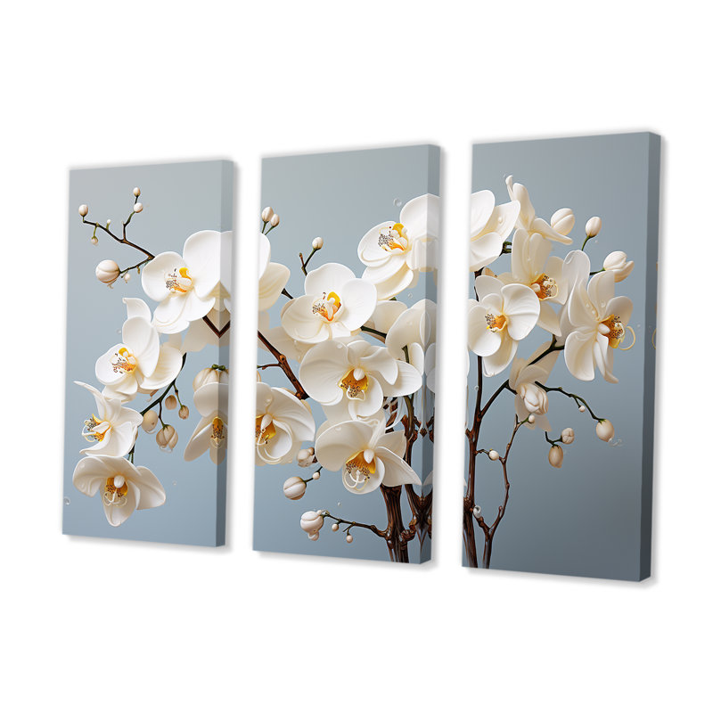 Orchidées blanches, nature morte, photographie I - ensemble d'orchidées murales, H 40 po x l 60 po x P 1 po
