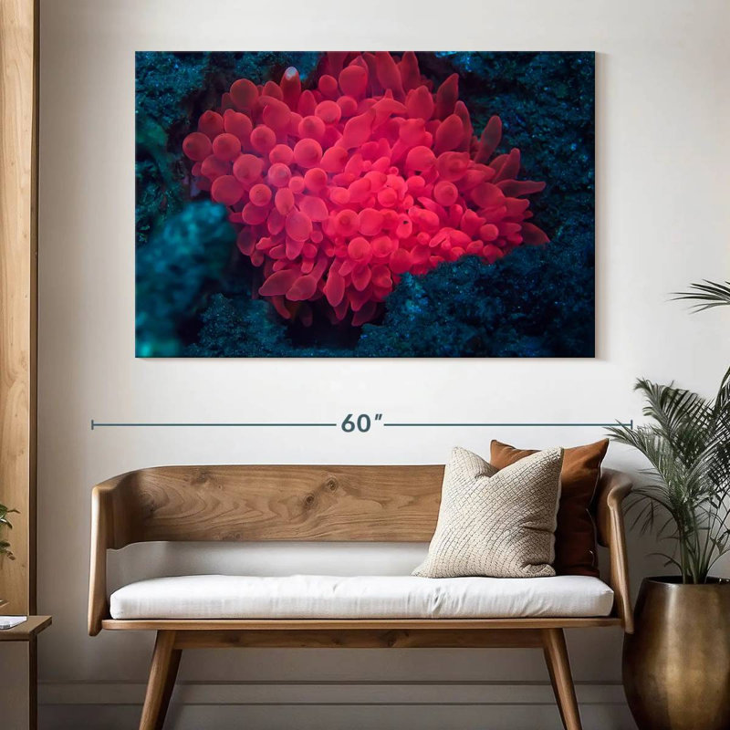 Rose corail, H 34 po x l 51 po