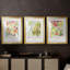 Affiche d'exposition Botanica I - reproduction sur mesure encadrée de qualité supérieure - 3 pièces