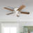 Olcay   52'' Ceiling Fan with Light Kit-516877676