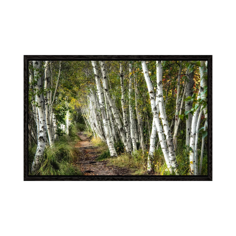 1 Piece Wall Art on Canvas, 152.5 cm H x 101.5 cm W, Black Framed, Black Framed