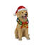 Christmas LED Lights Figurine-2110015646