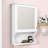 Wall Mounted Bathroom Storage Cabinet with Mirror-1272025015