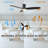 Elwina 60'' Smart Ceiling Fan with Light