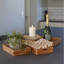 Canby Tray