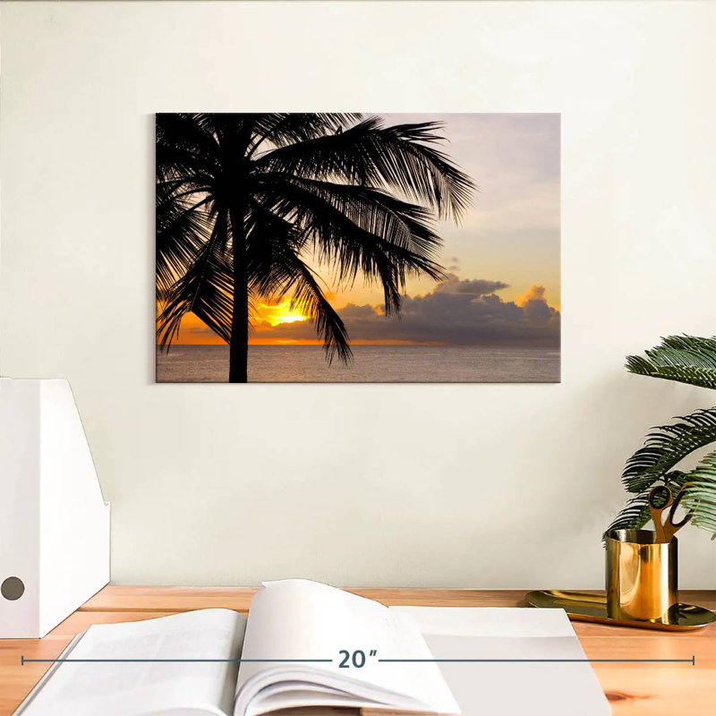 Barbados Coconut Tree