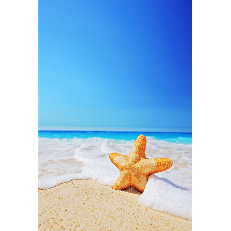 Starfish on a Beach 1 Piece Wrapped Canvas Wall Art, 46cm H x 30cm W x 3.8cm D