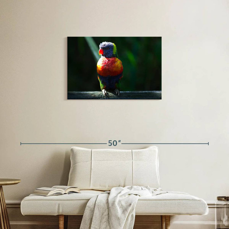 Brampt Sunlit Rainbow Lorikeet, 20" H x 30" W
