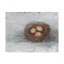 «Rustic Bird Nest II» par Ethan Harper, reproduction d'art sur toile tendue-2016342931