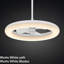 Aashini 13'' Ceiling Fan with LED Lights