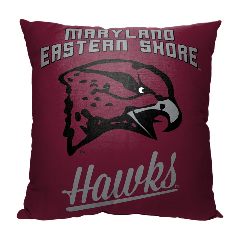 Pillow Cover, University of Maryland, Baltimore County
