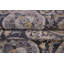 Ziegler One-of-a-Kind 11'5" X 14'6" Area Rug