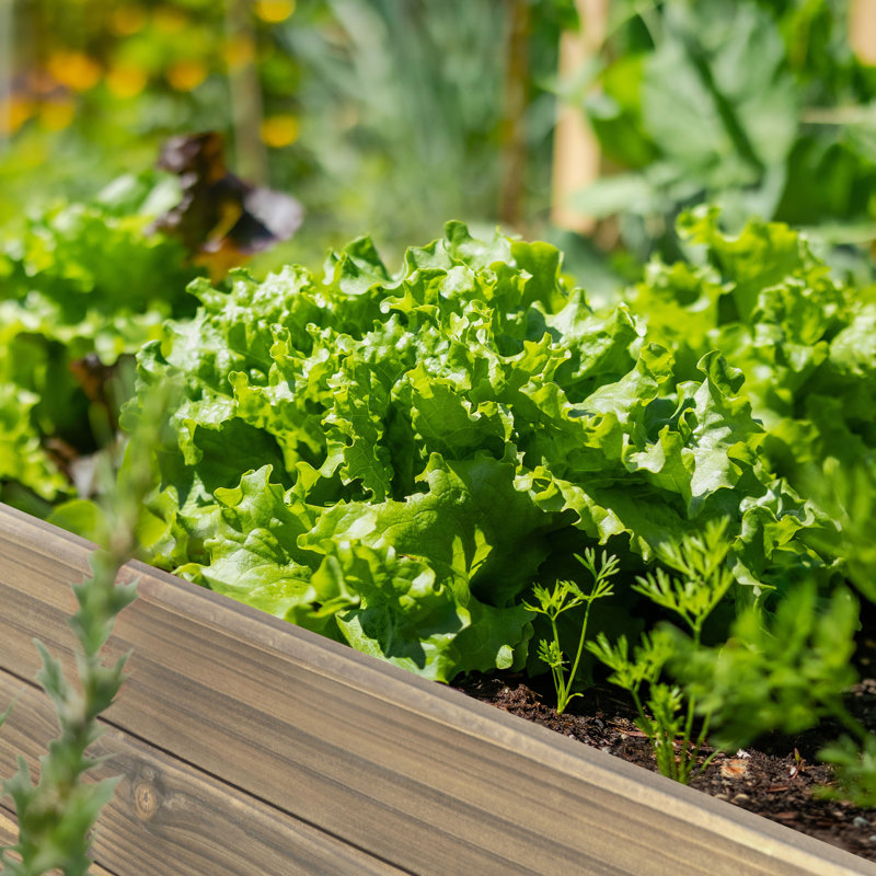Janay Large Wood Raised Garden Bed, Brown
