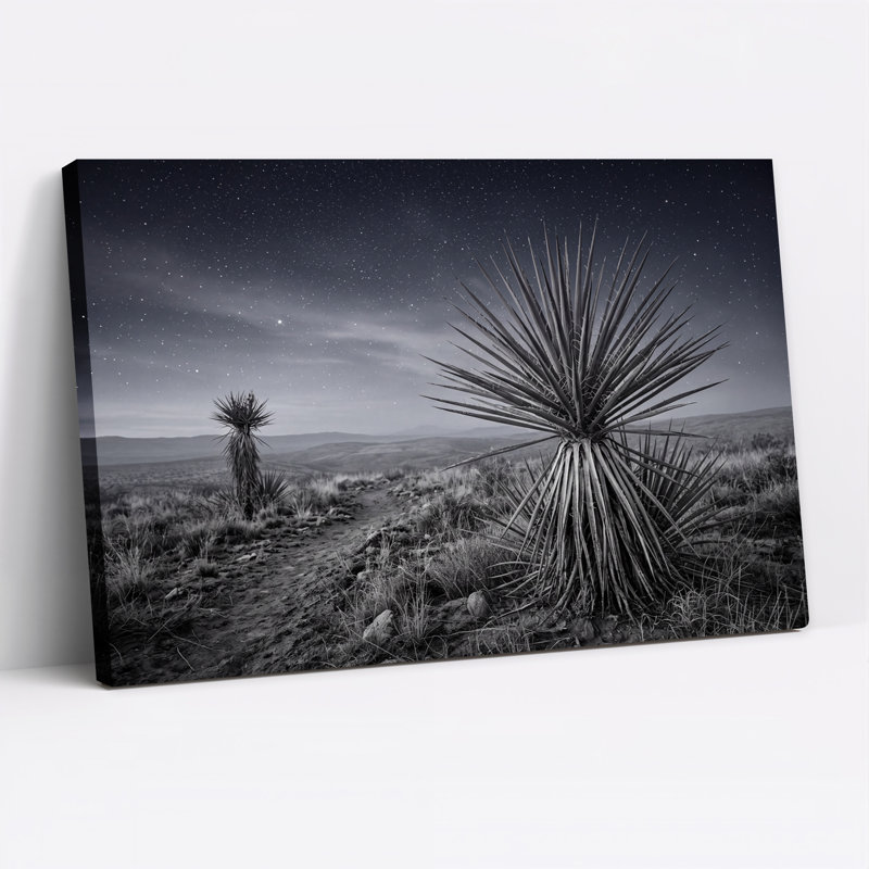 «Yucca» noir et blanc sous un ciel étoilé, art mural sur toile, H 28 po x l 40 po