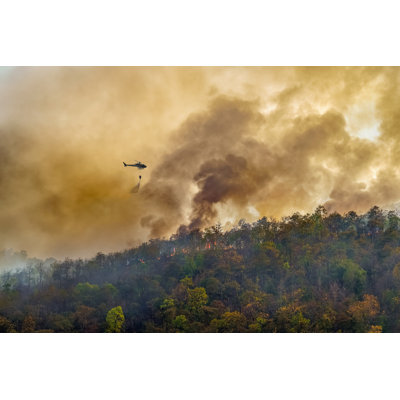 Feu de forêt Suzett