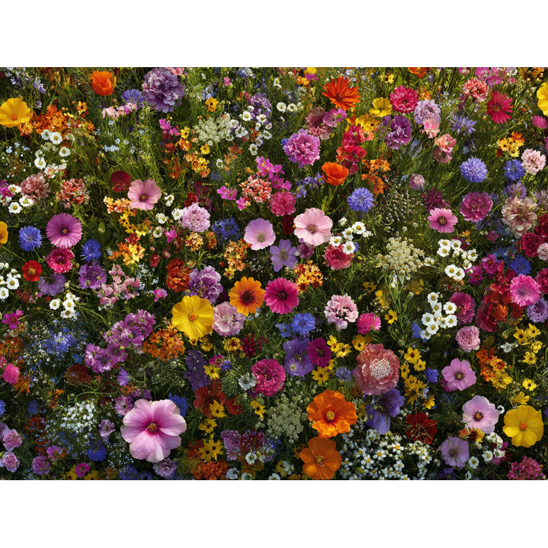 "Summer Meadow Clos Art", art mural sur toile tendue, H 40 po x l 40 po x P 1,5 po