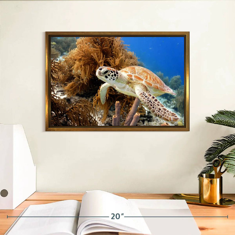 Turtle Reef, 13" X 9", Floating Frame Gold
