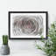 Pink Rose Flower Vol.3 - Picture Frame Drawing-62804213-62804216