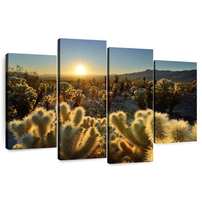 Harnek Cholla Cactus Garden, 32" H x 52" W
