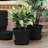 Terra Traditional Plastic Indoor/Outdoor Pot Planter-781112930-706139605