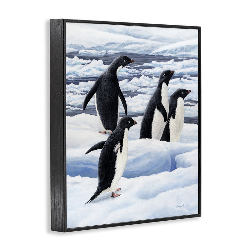 Adélie manchots sur glace, estampe numérique, conception par Jeremy Paul, H 14 po x l 11 po, Giclée encadrée noir minuit