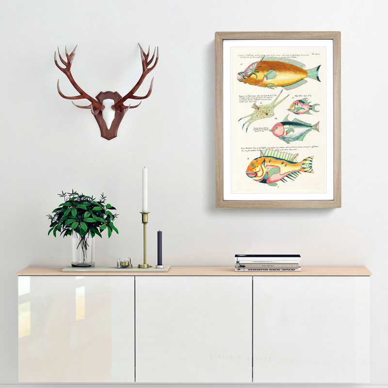 East Indies Fish Illustrations XIII by Louis Renard - Picture Frame Graphic Art Print, 65cm H x 48cm W x 2cm D, Oak Framed